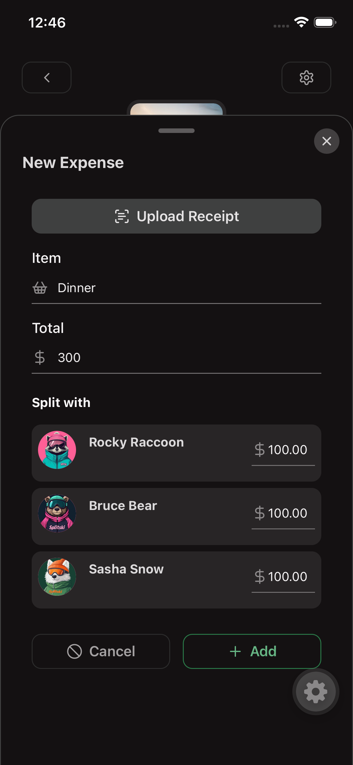 Add expense manually